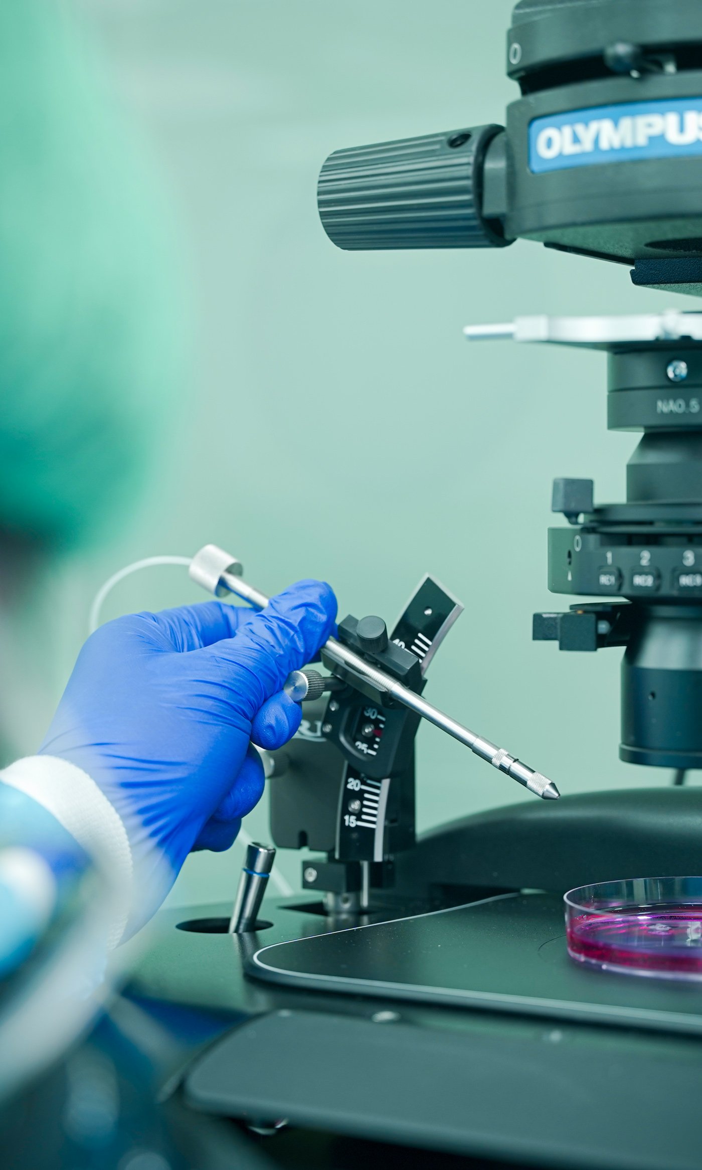 best ivf centre in punjab​