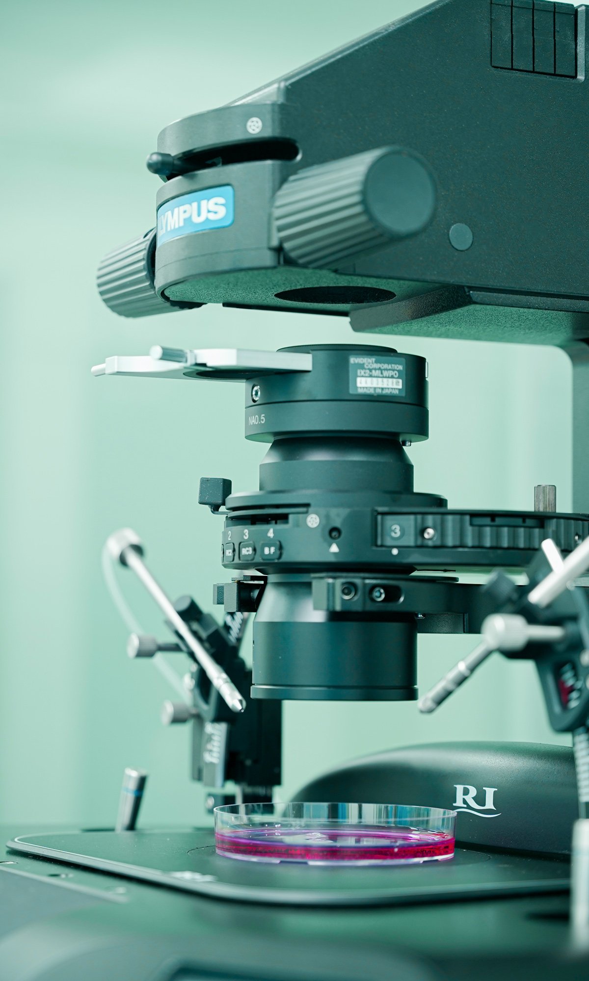 ivf clinics in pakistan​