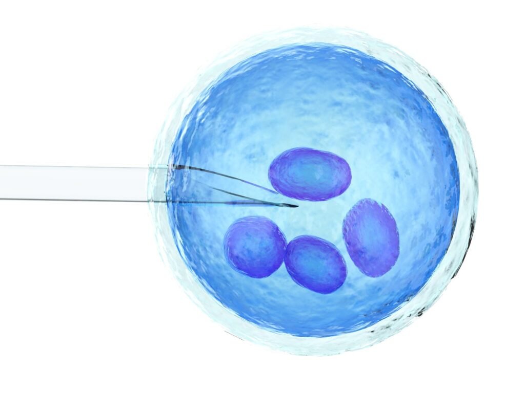PGD vs PGS in IVF- Understanding Types of Genetic Testing