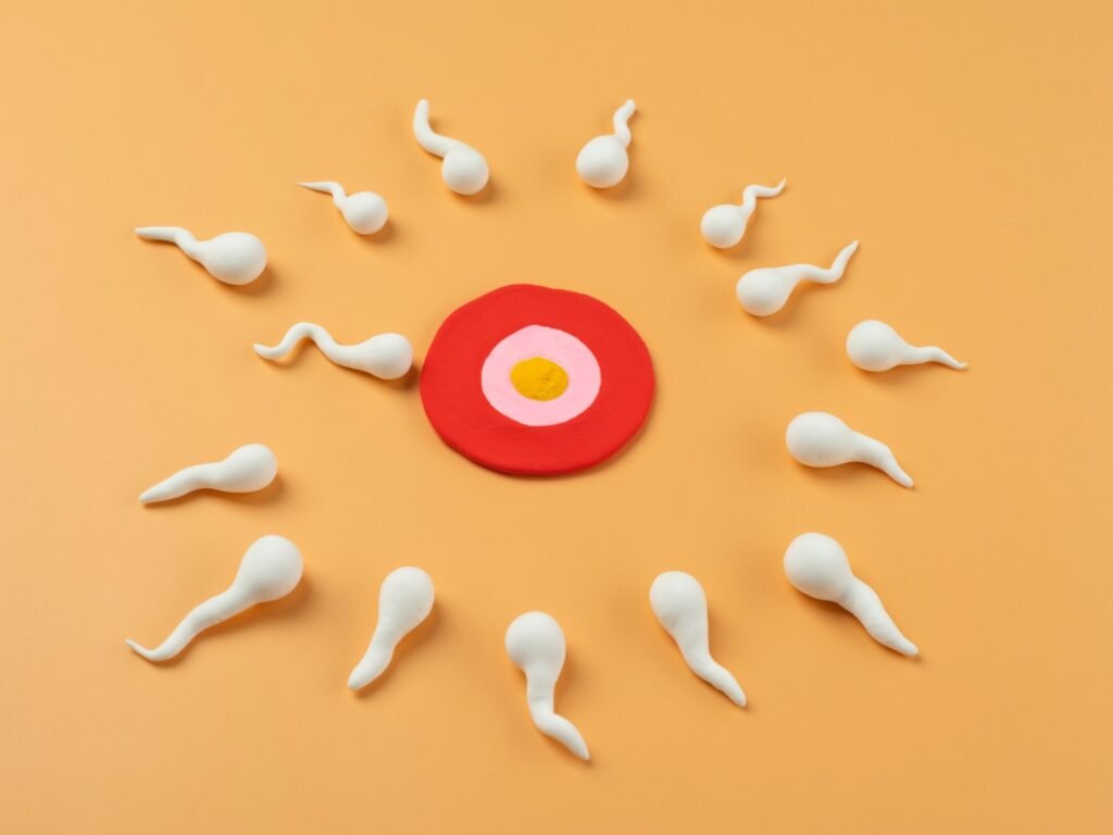 10 Common IVF Myths Busted by Fertility Experts